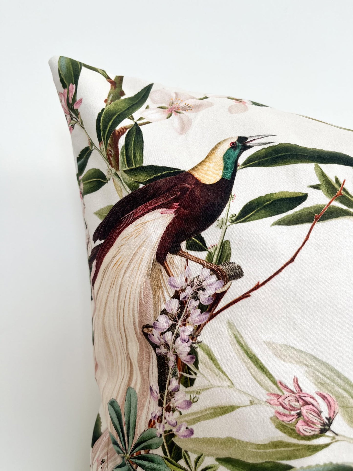 Housse de coussin Jade | Oiseau du paradis