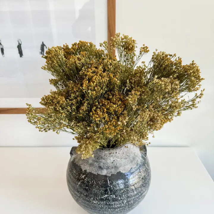 Bouquet de fleurs de genêts séchés | Bloom Bloom séché