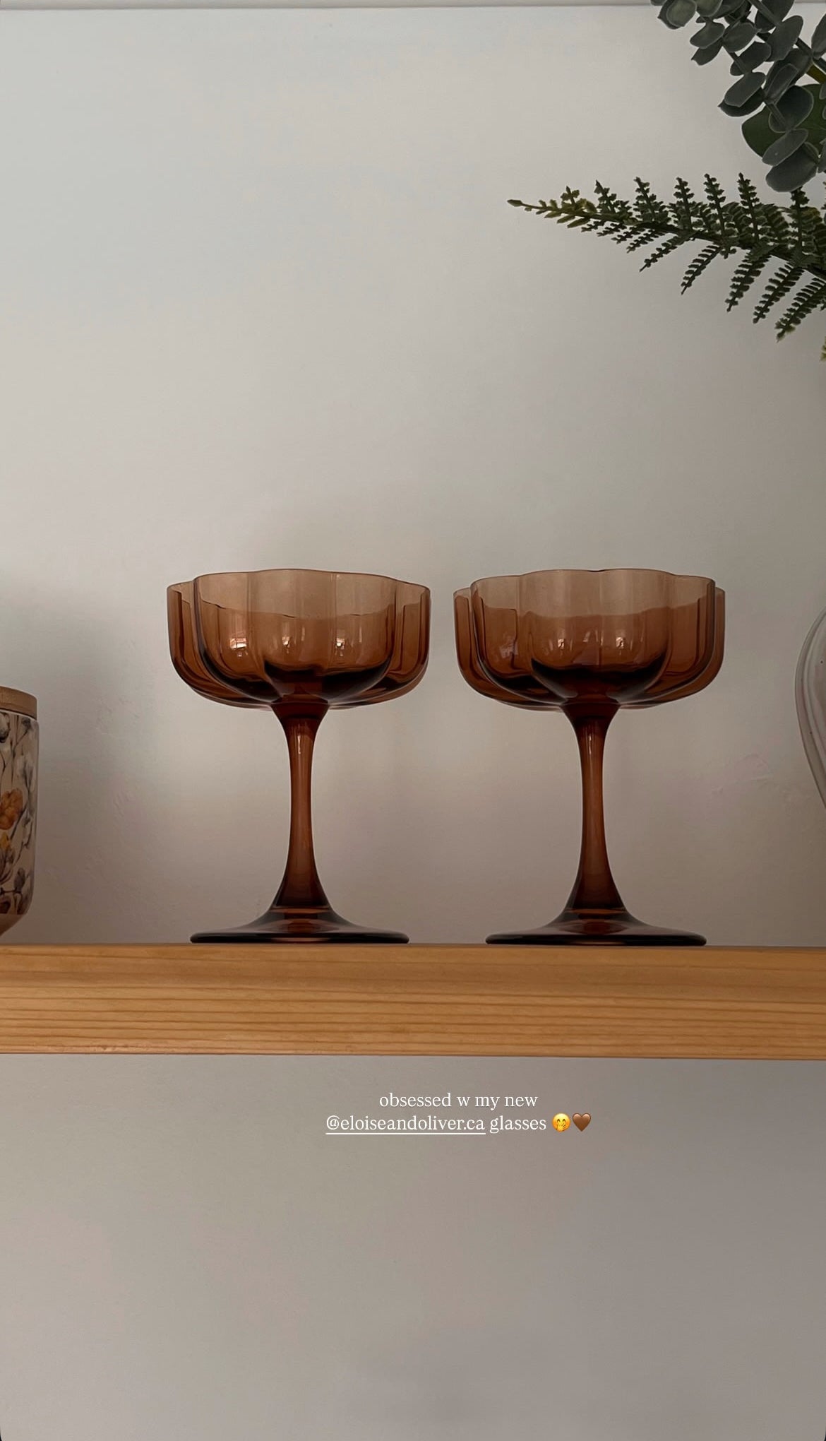 Verre à Martini Pétale