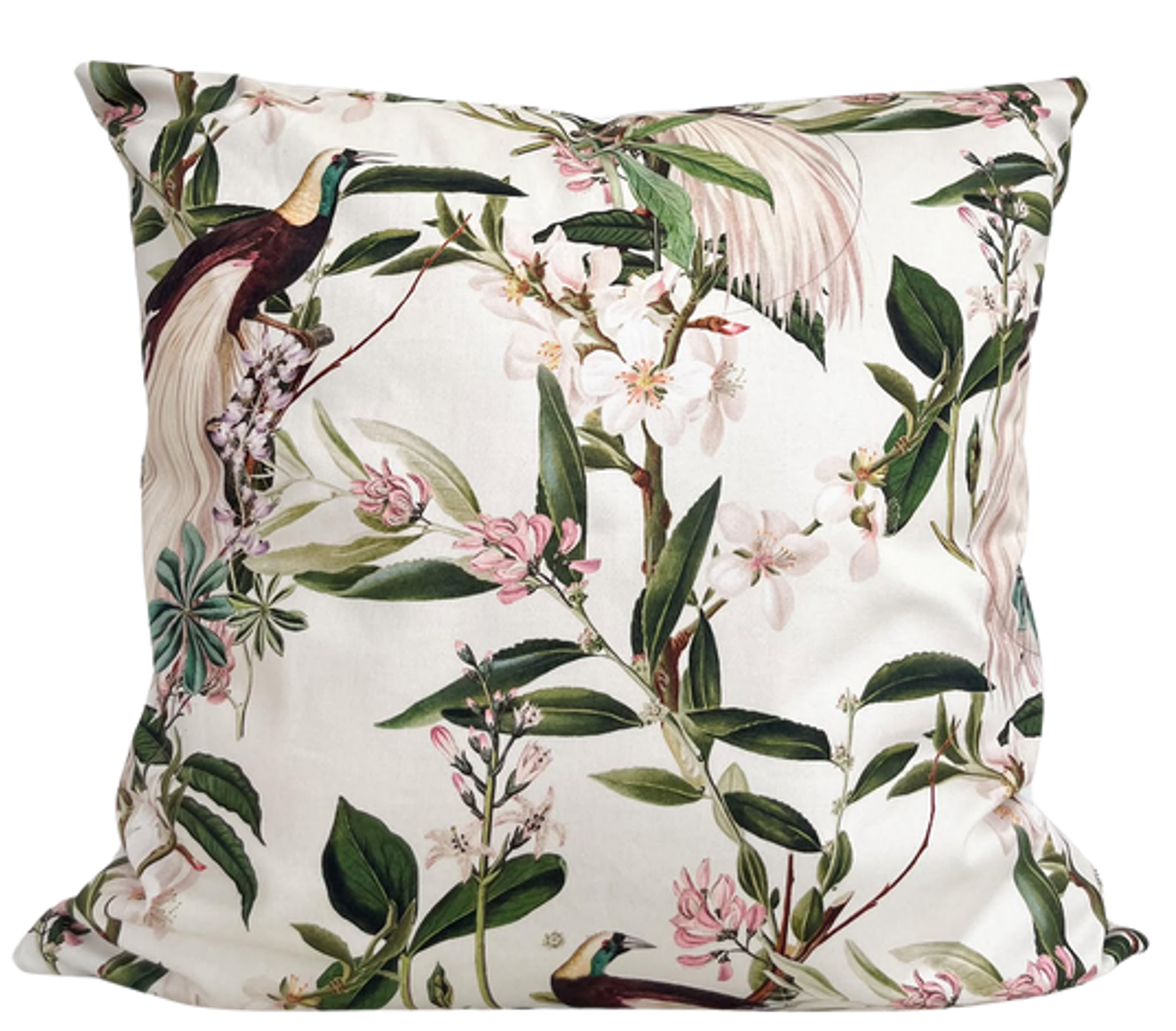 Housse de coussin Jade | Oiseau du paradis