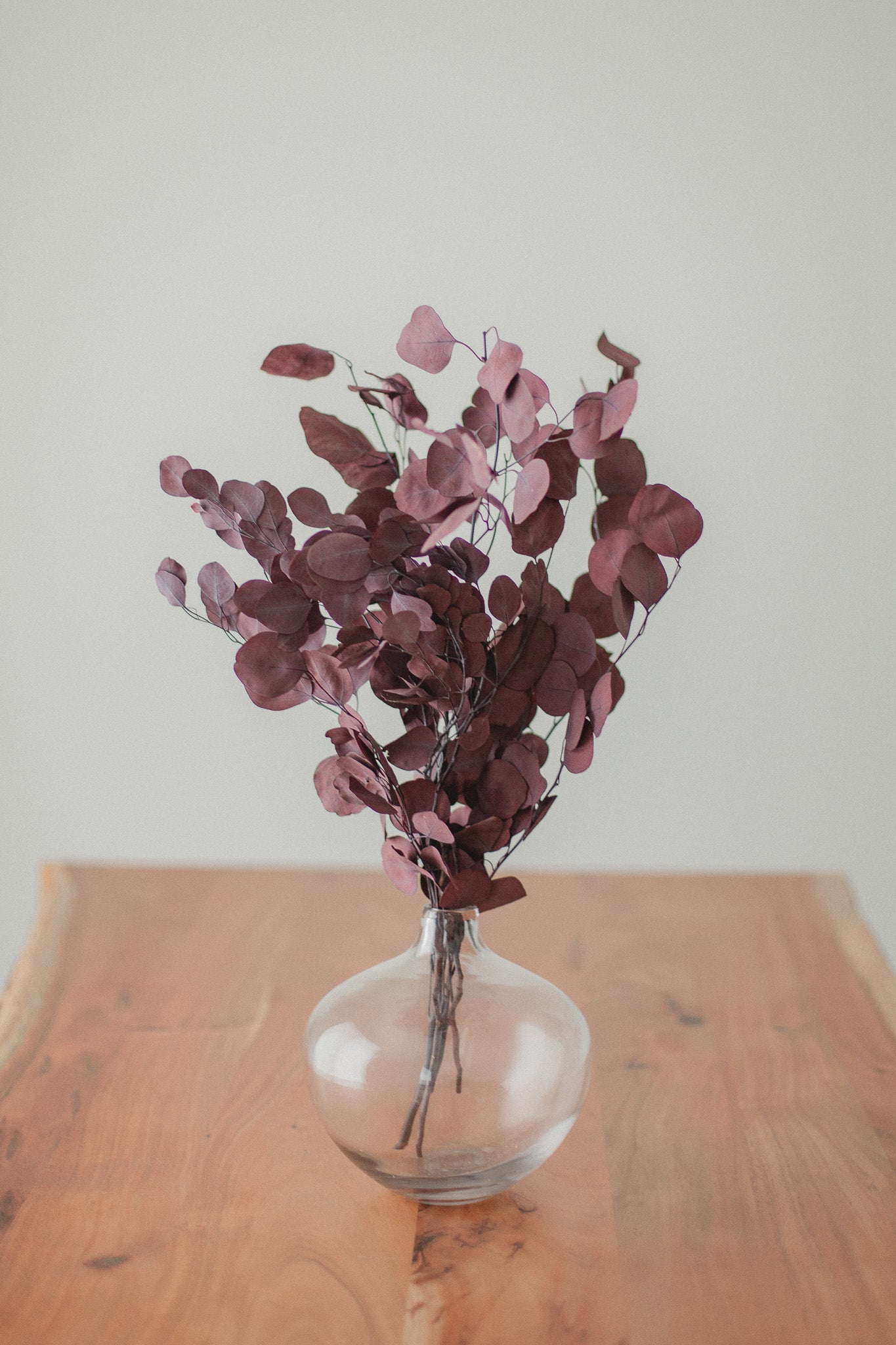 Bouquet d'eucalyptus en argent préservé