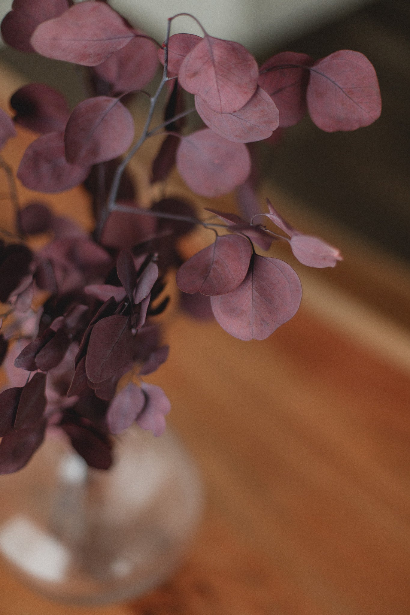 Bouquet d'eucalyptus en argent préservé