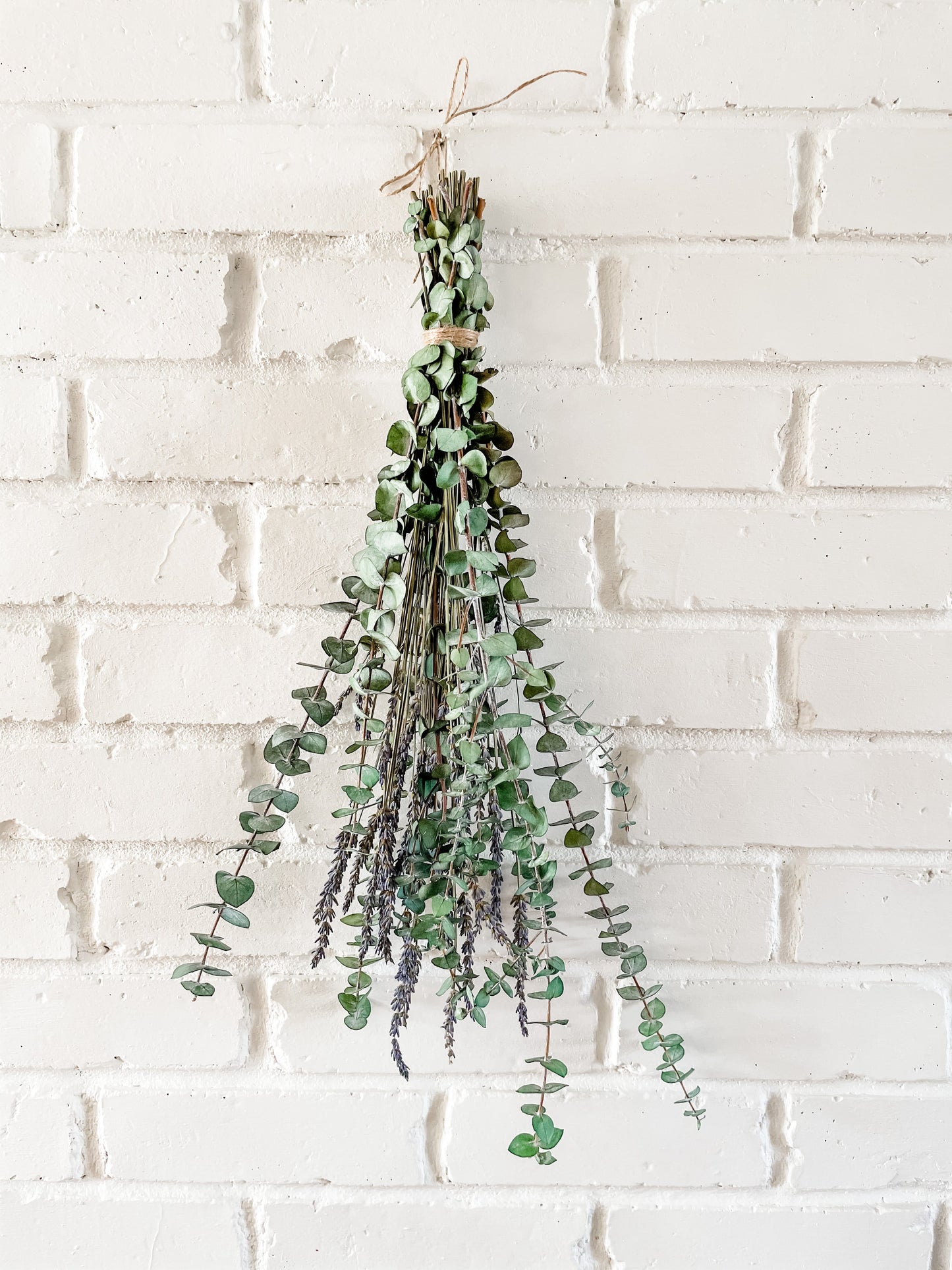 Bouquet d'eucalyptus pour la douche | Rituel bien-être