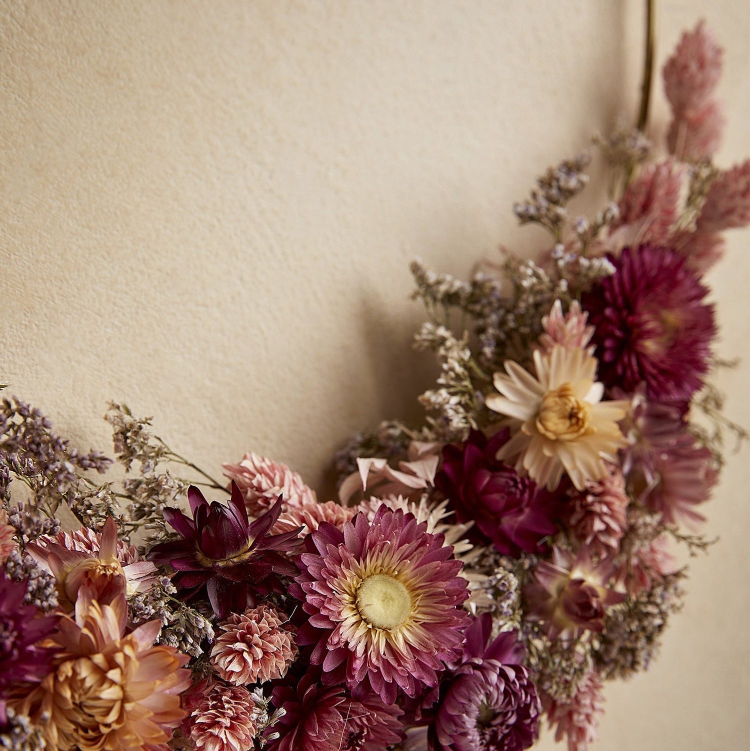 Fleurs séchées