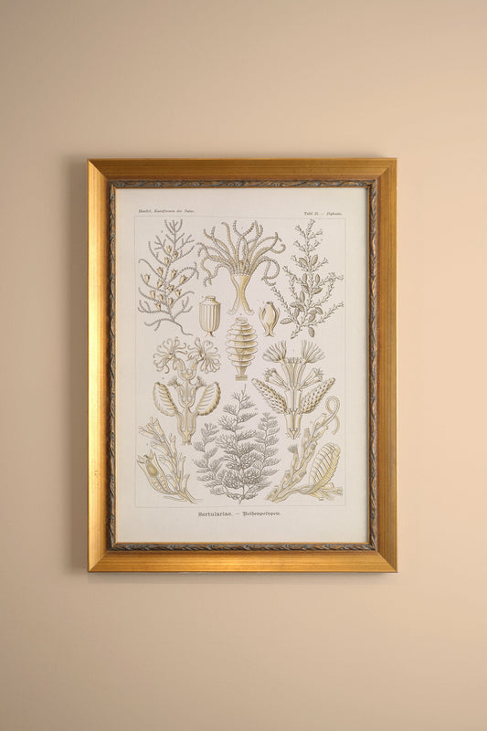 ESSENCE MARINE, Oeuvre sur toile rigide, encadré Vintage Or