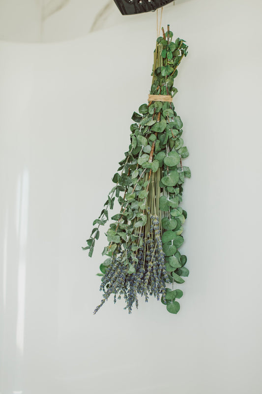 Bouquet d'eucalyptus pour la douche | Rituel bien-être