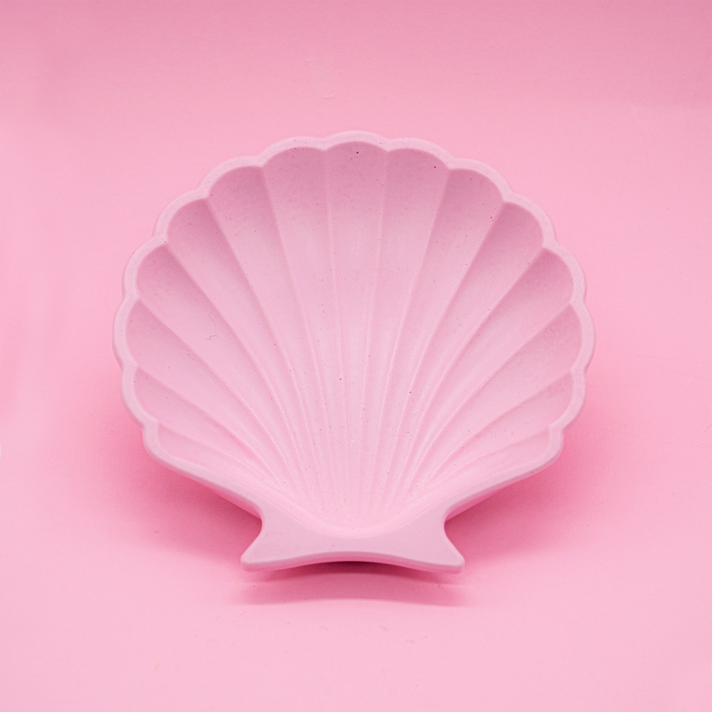 Petit plat à bijoux en coquillage