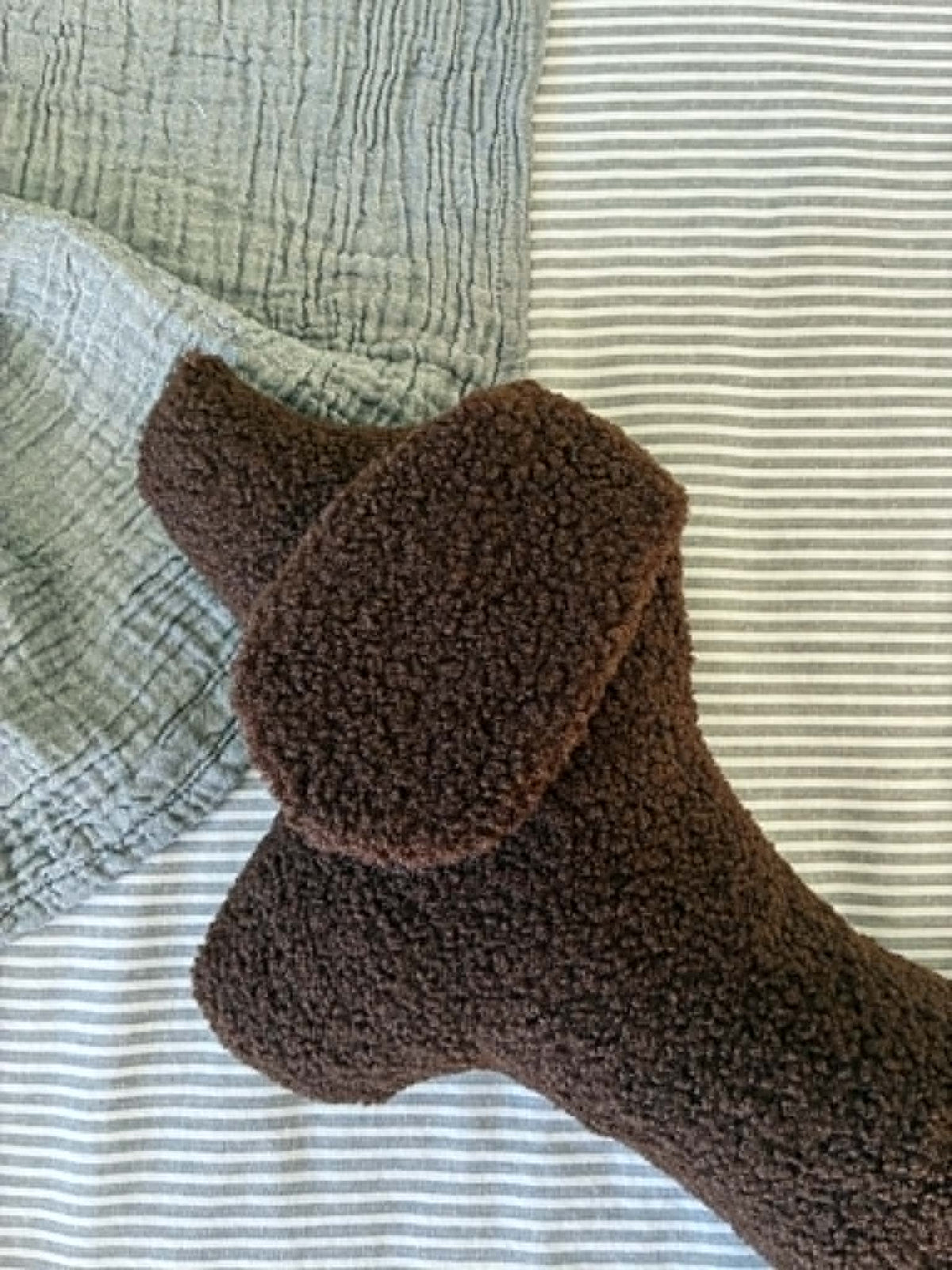 Coussin Peluche Teckel BILLY | Chocolat
