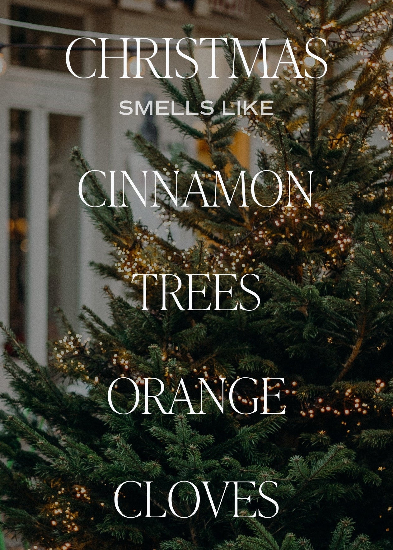 Bougie Christmas | Soja