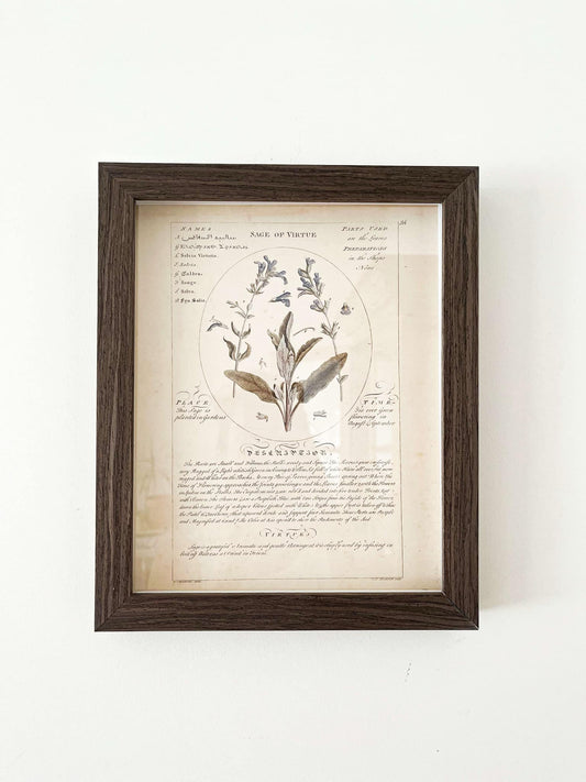 Vintage Wall Art Frame | Little Goose