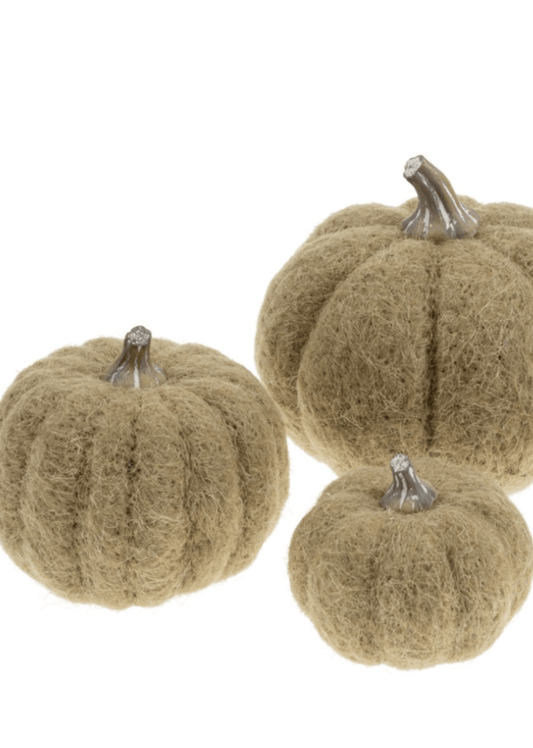 Citrouillle en feutrine | Moss