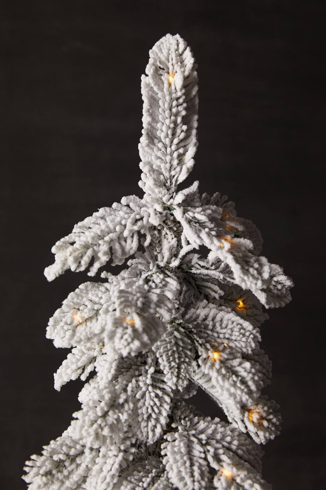 Sapin lumineux enneigé