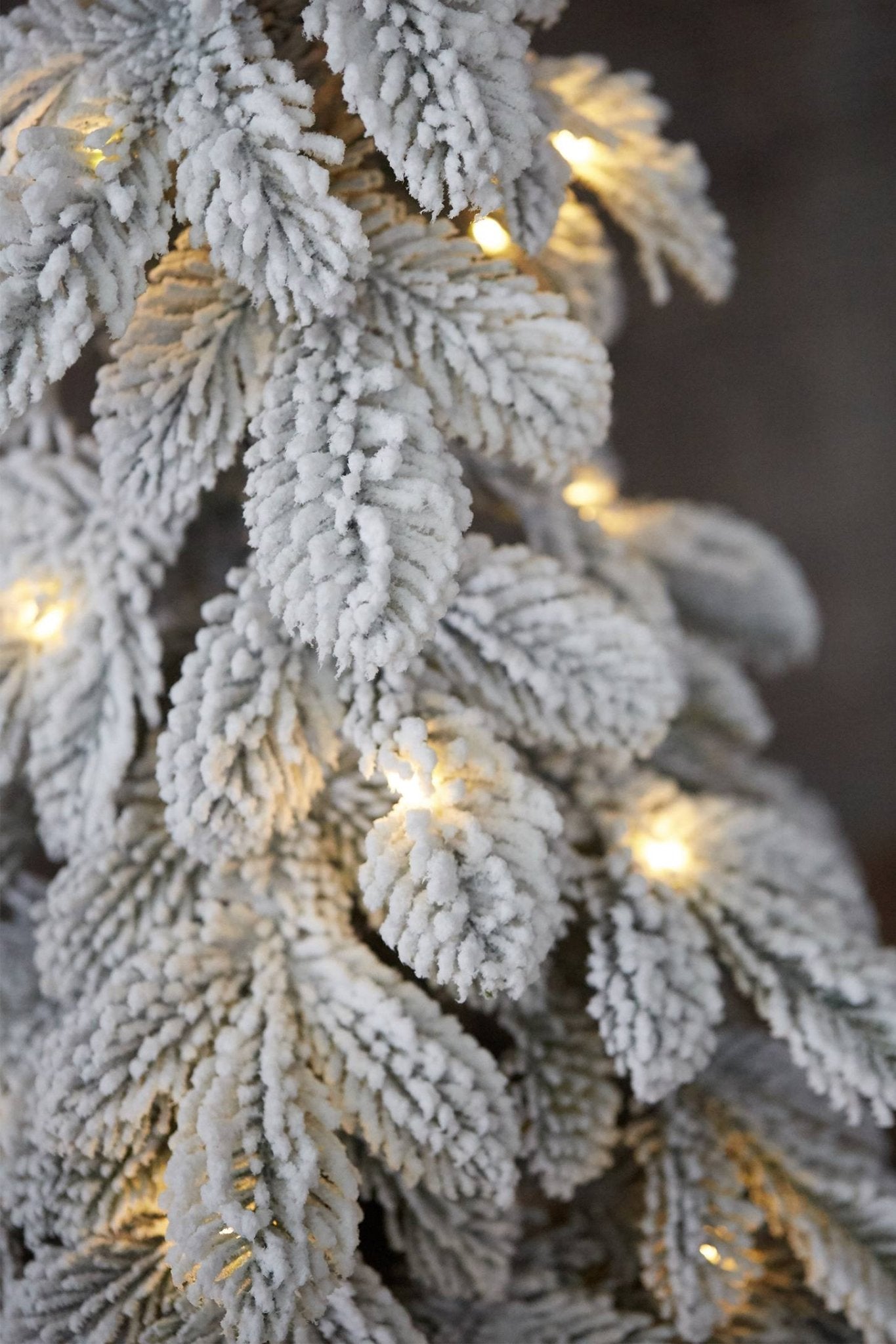 Sapin lumineux enneigé