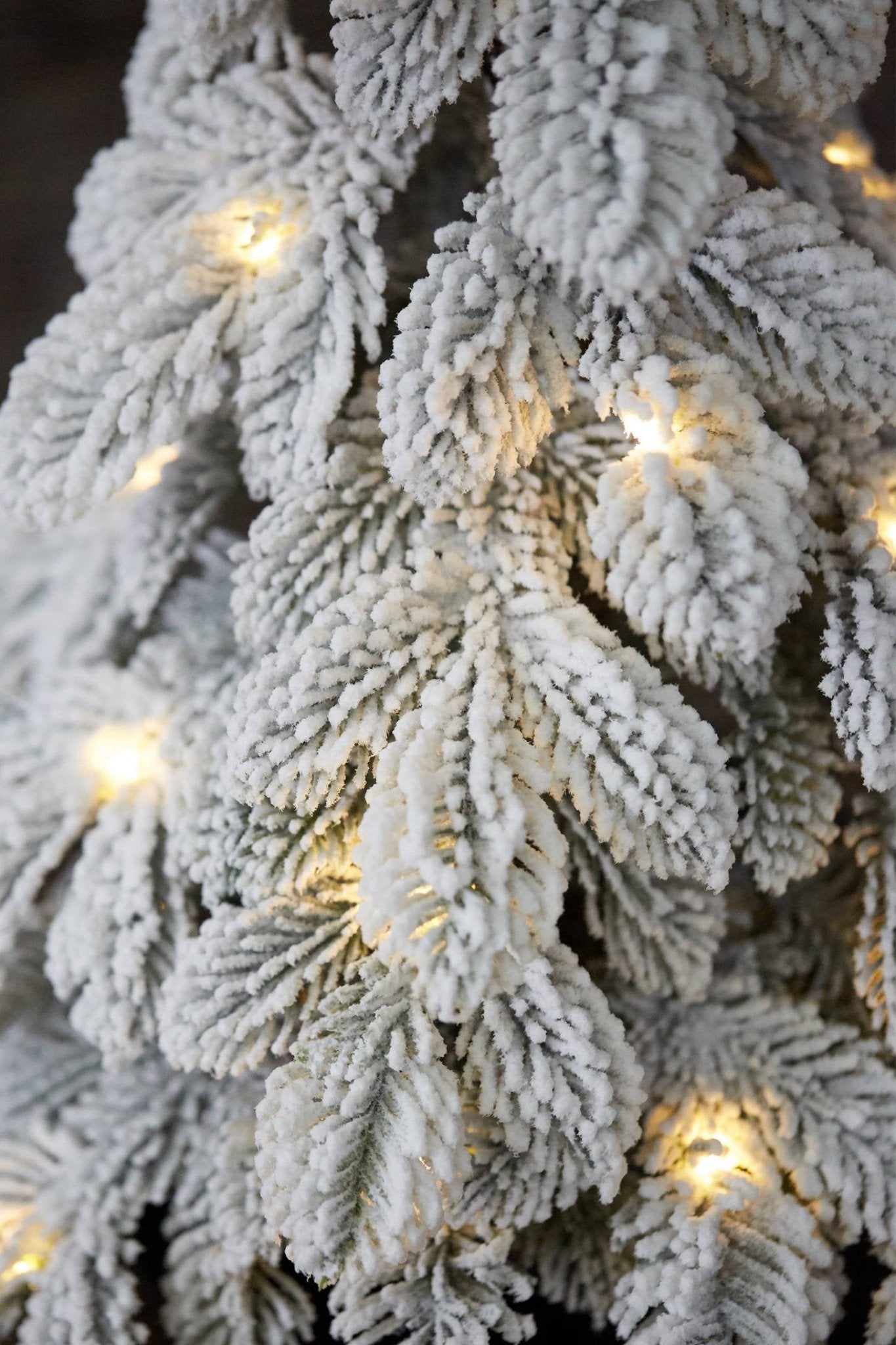 Sapin lumineux enneigé