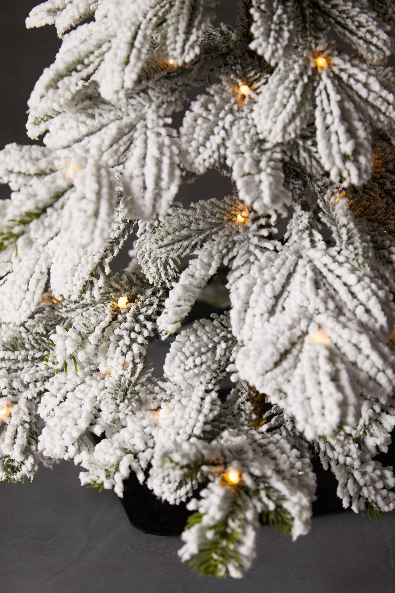 Sapin lumineux enneigé