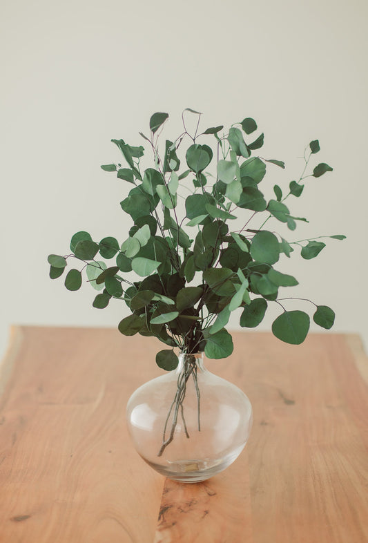Bouquet d'eucalyptus en argent préservé