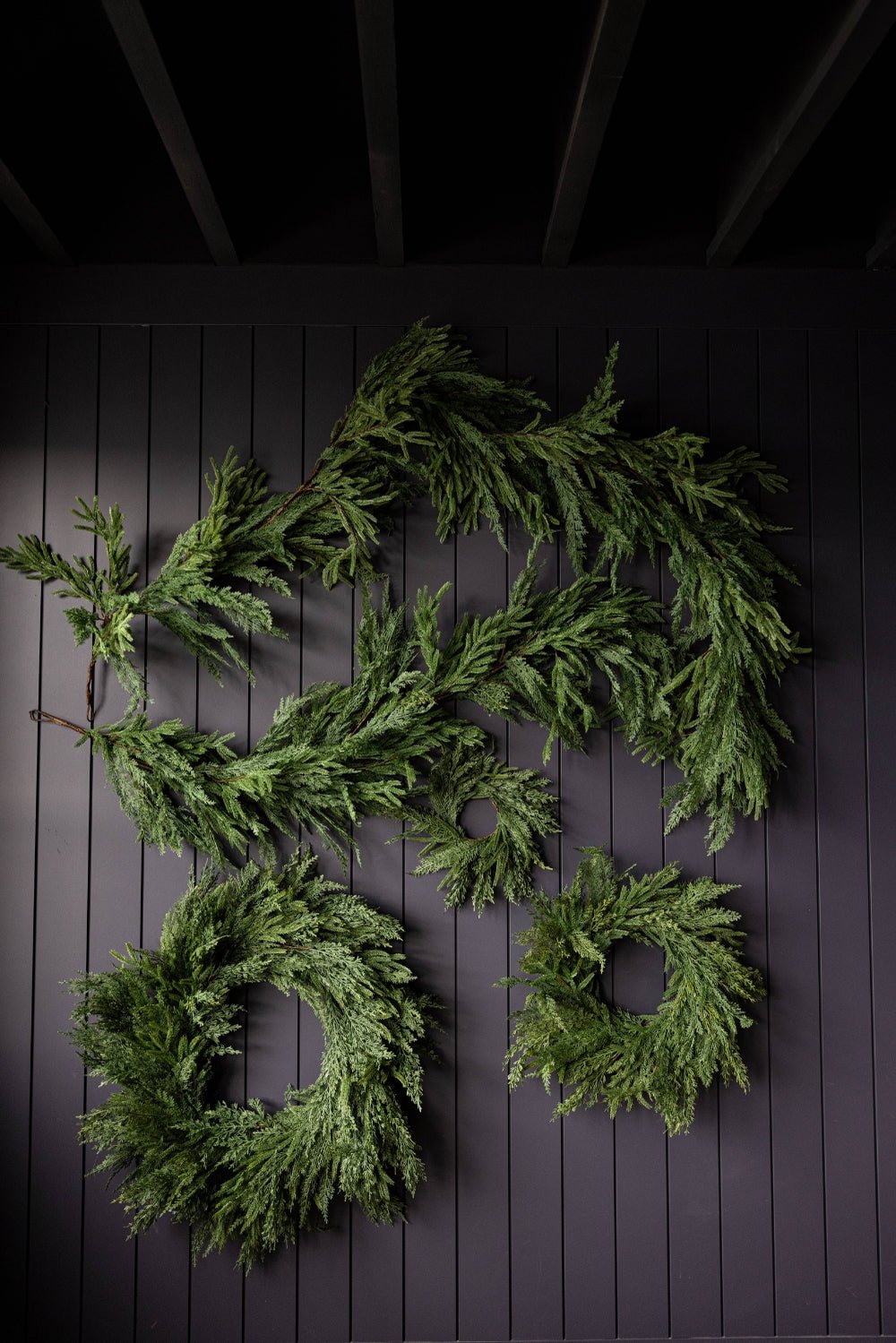 Couronne Norfolk & Cypress Mixte