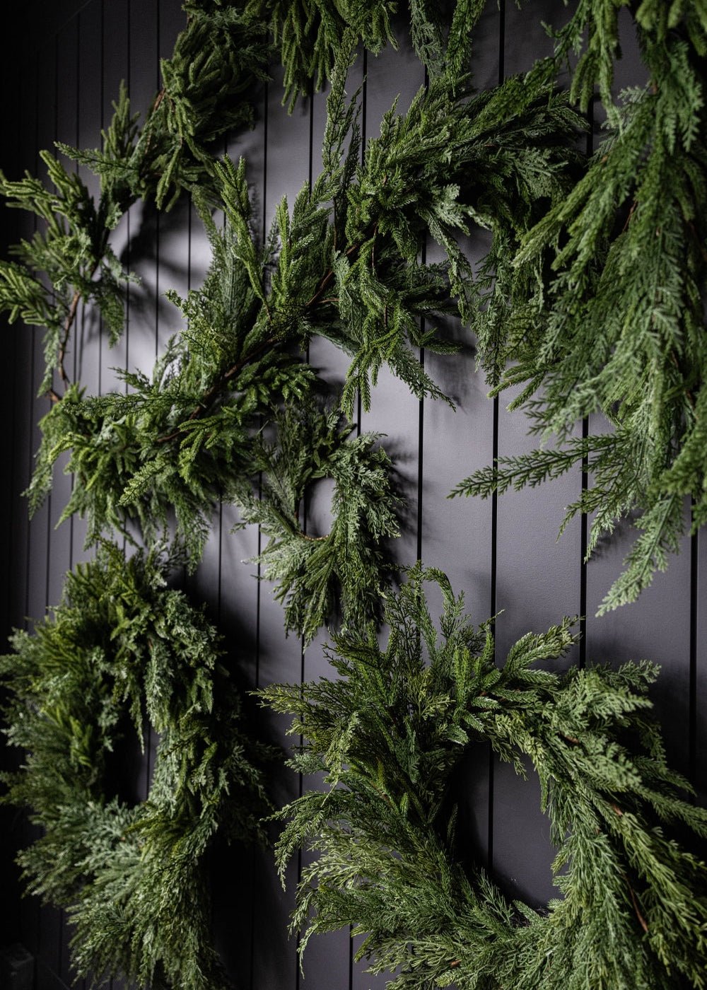 Couronne Norfolk & Cypress Mixte