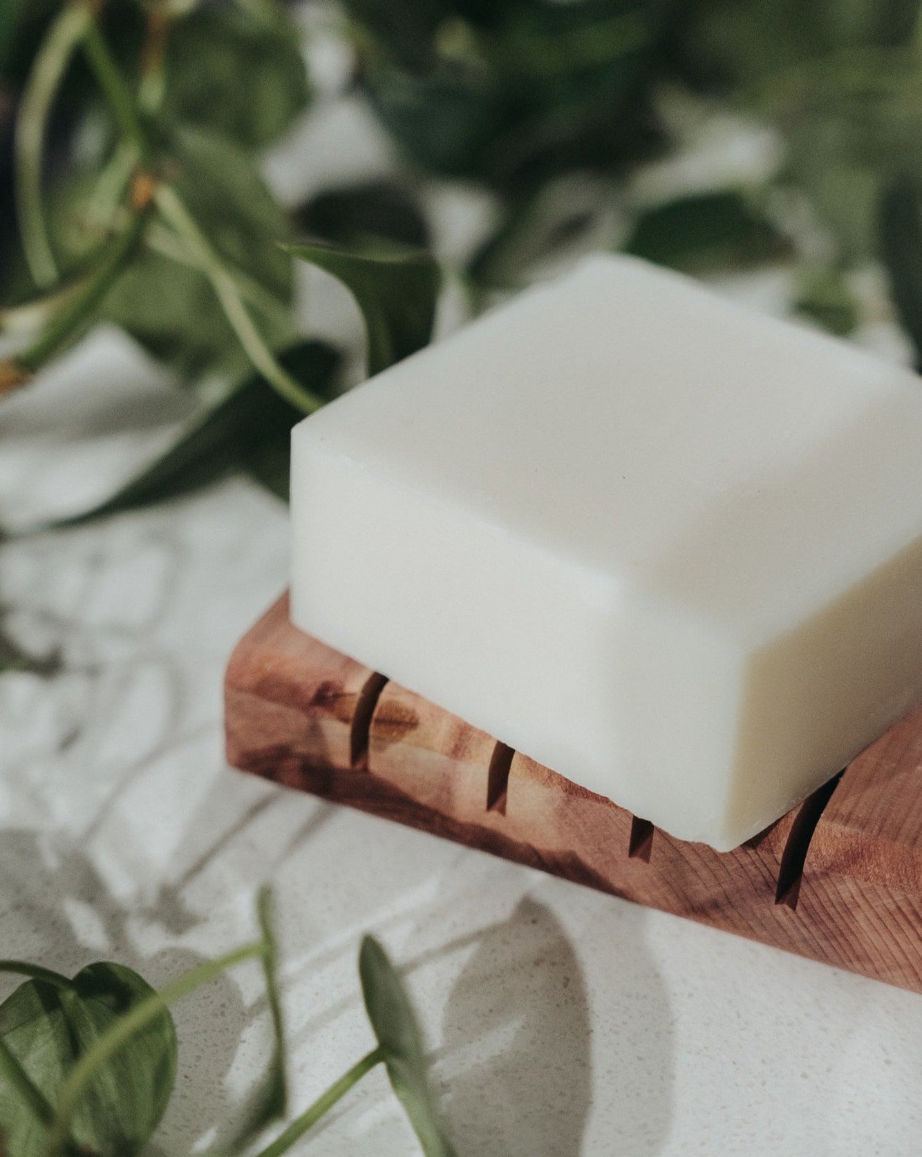 Savon à vaisselle solide | Bergamote + Citron vert