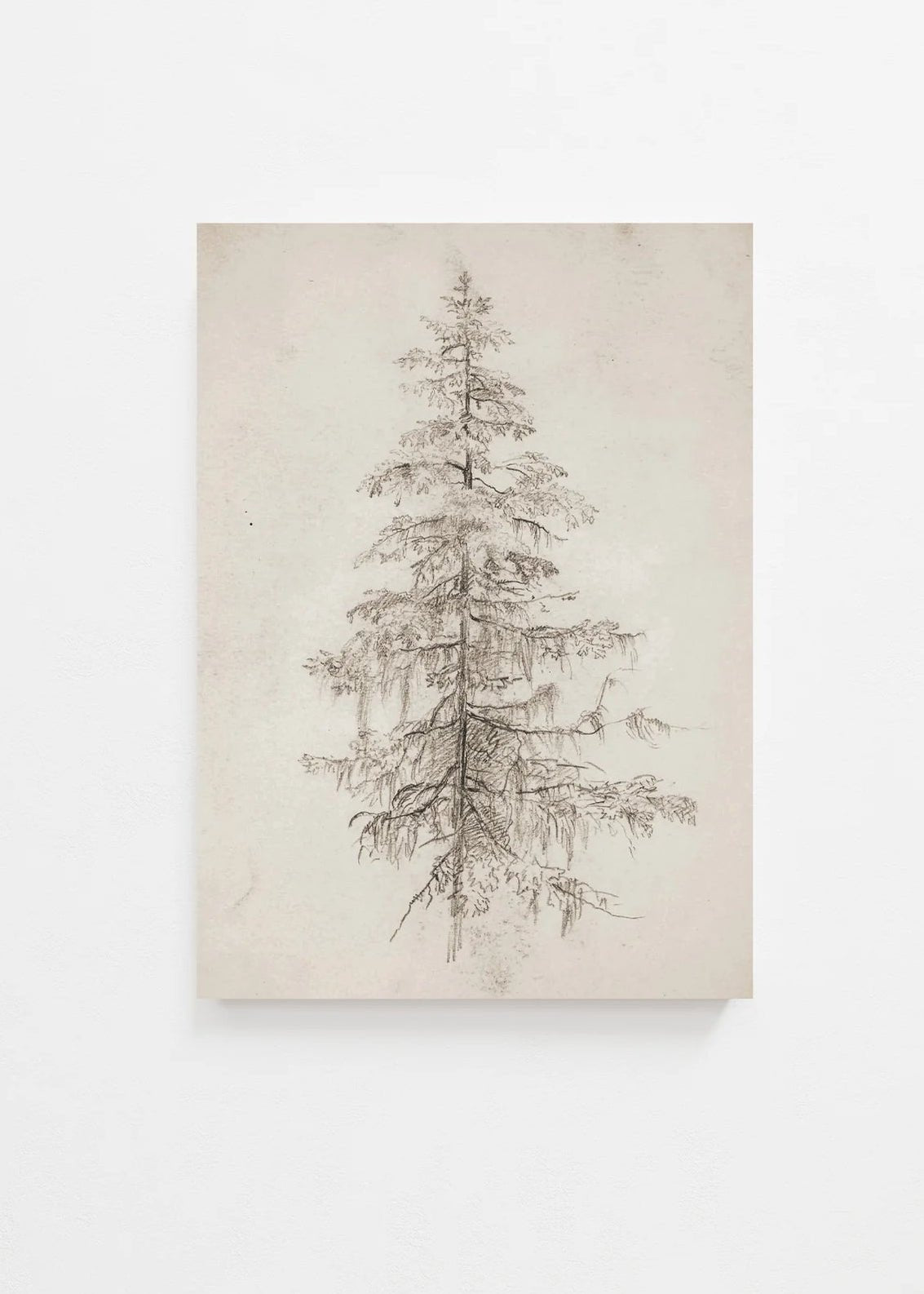 Impression d'art d'arbre